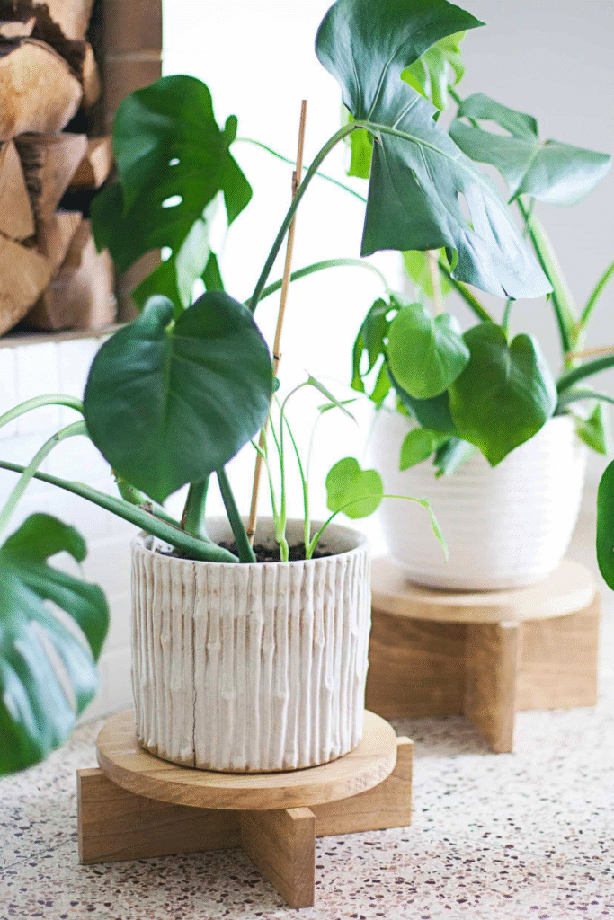 DIY Modern Wood Plant Stands by A Beautiful Mess