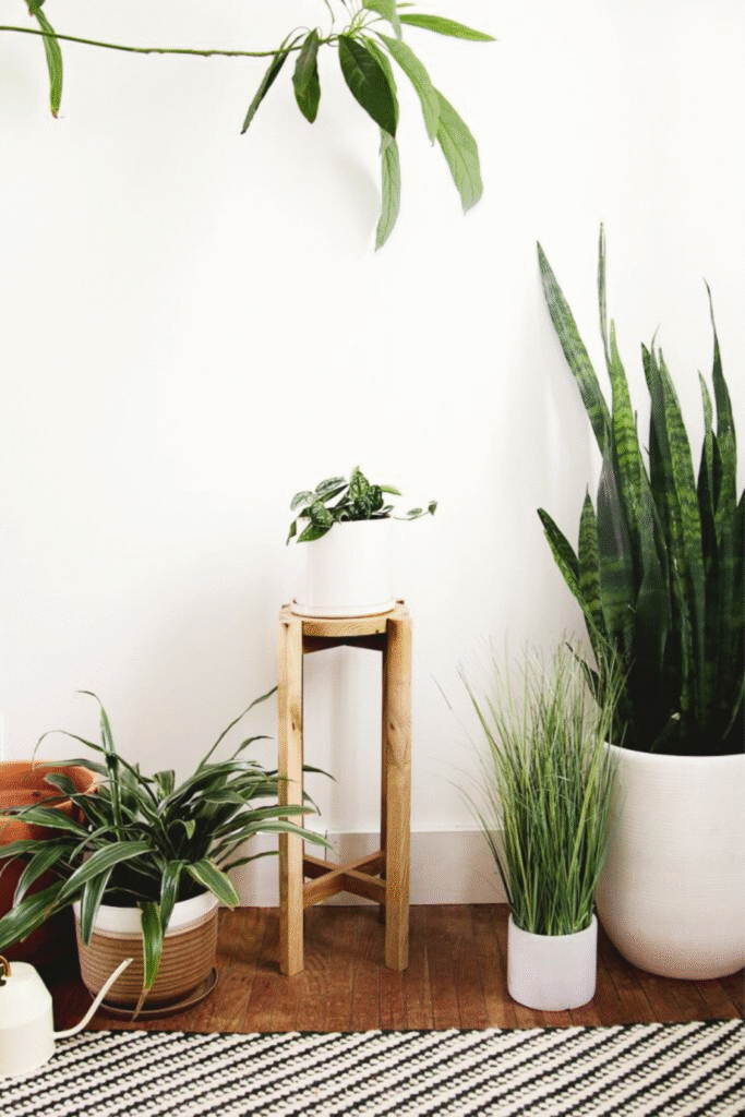 DIY Wood Plant Stand by The Merry Thought