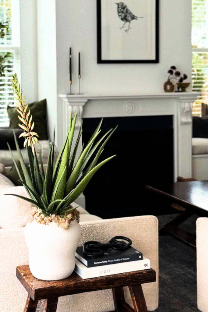 How to Grow Aloe Vera Plants Indoors: 9 Simple Tips 11 at Foliah Flowering aloe in pot in living room by curatedbotanics via Instagram