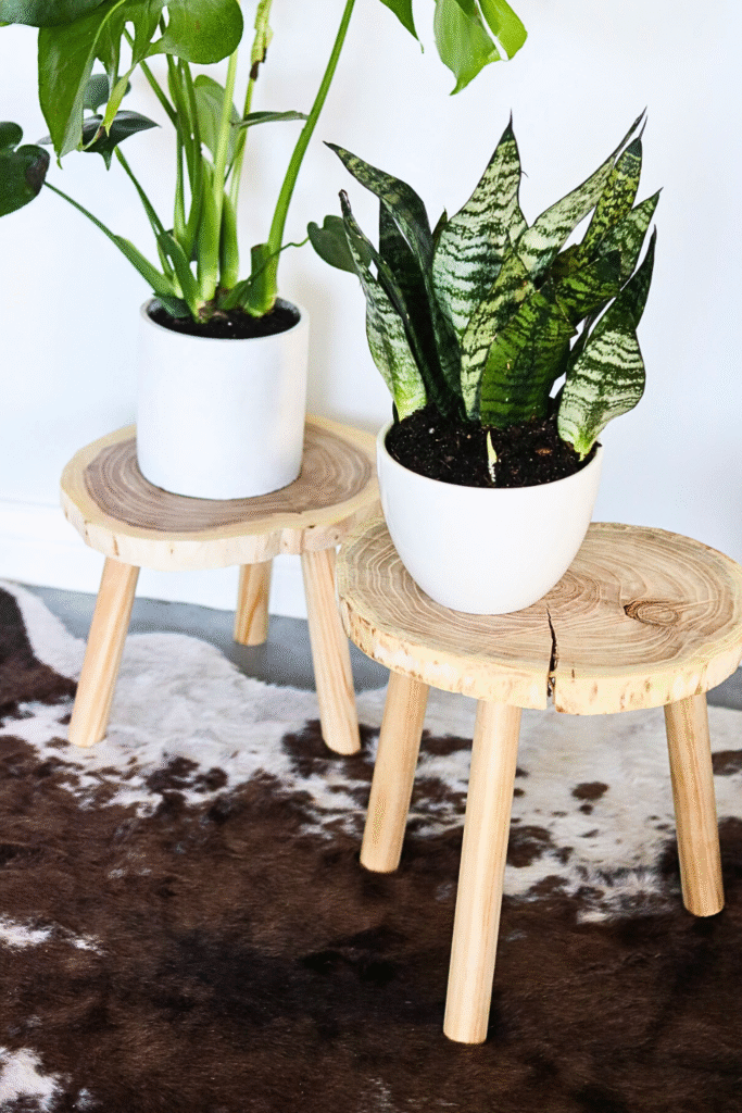 Gorgeously Simple Wooden Slab Planter Stands by LilyArdor houseplants decor