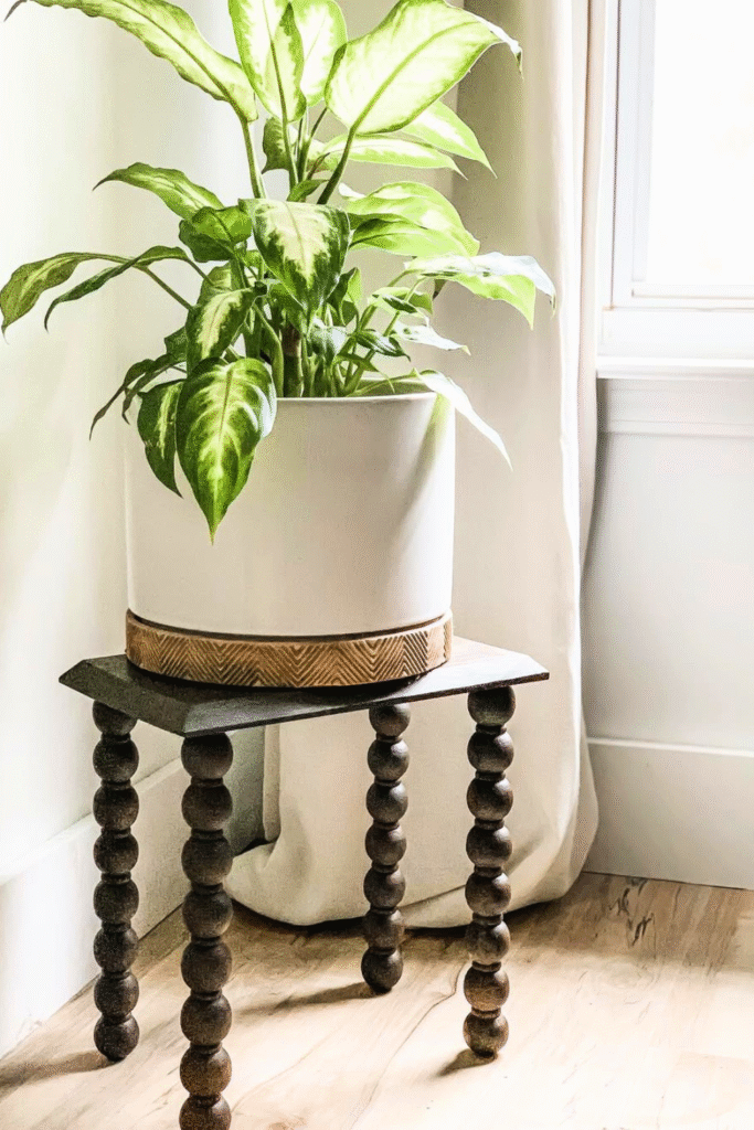 Ultra stylish wooden DIY plant stand by 𝐋𝐀𝐔𝐑𝐄𝐍 𝐉𝐀𝐌𝐈𝐒𝐎𝐍 via Instagram