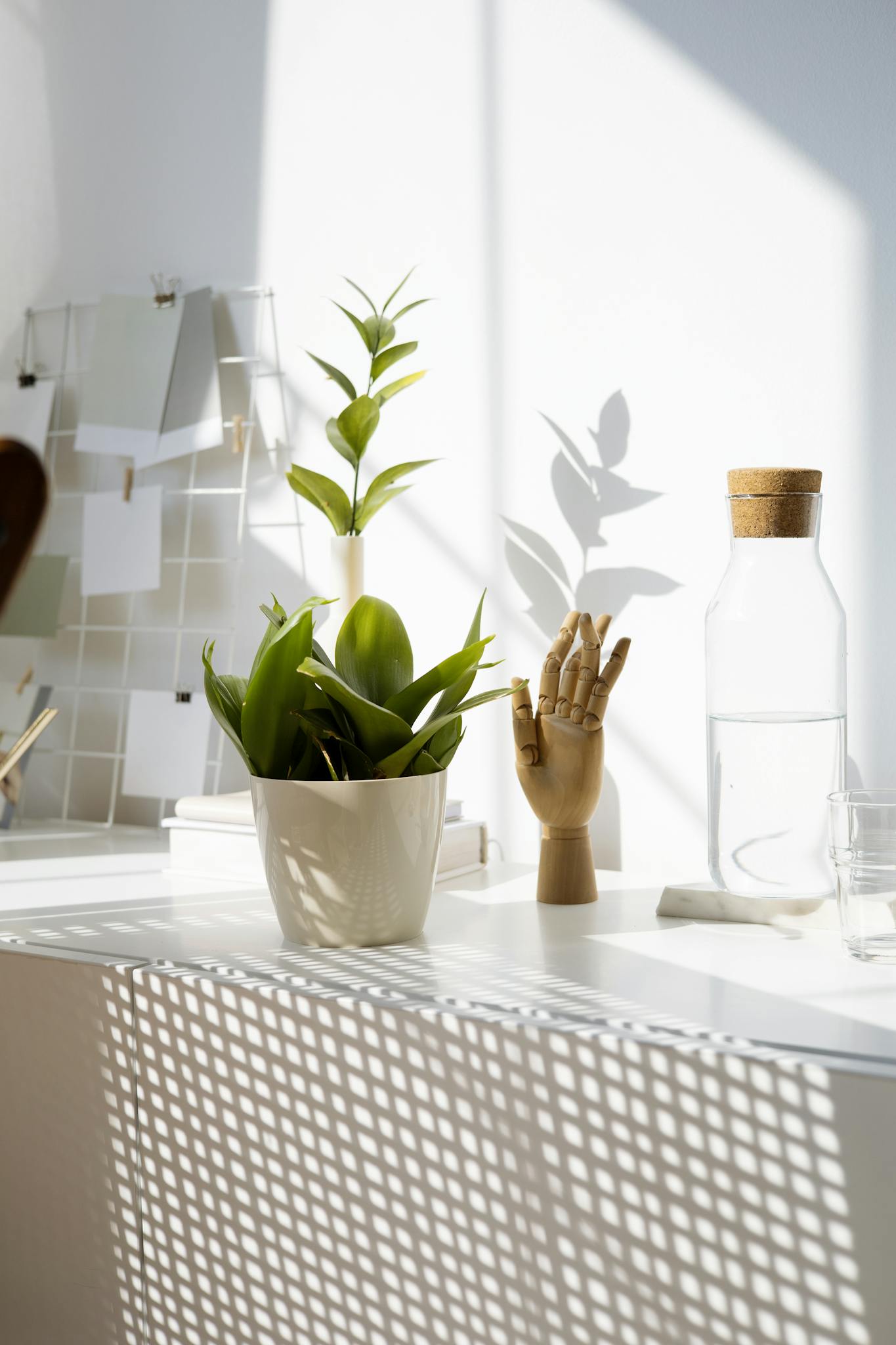 elegant minimalist apartment decor featuring an indoor plant and wooden hand model on a sunlit table. 8989500 houseplants decor
