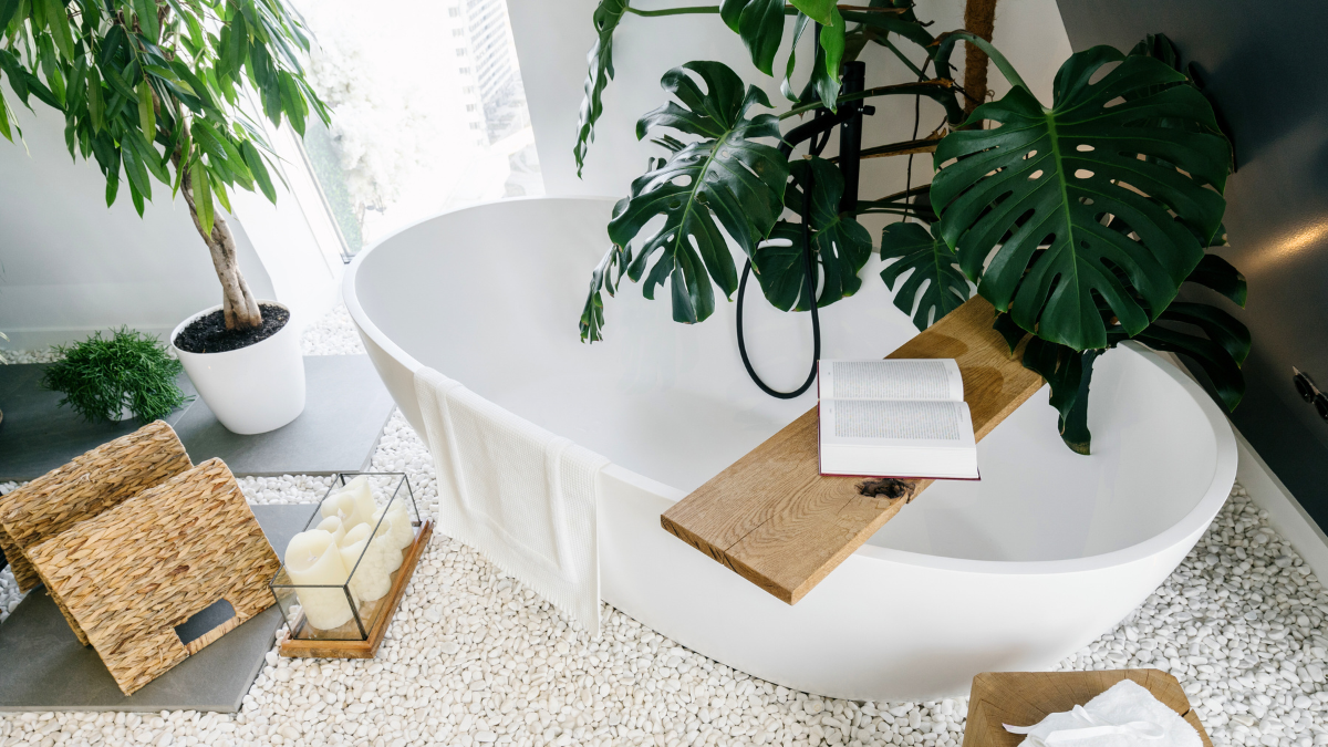 Bathroom with dracaena and monstera houseplants, bathroom decor
