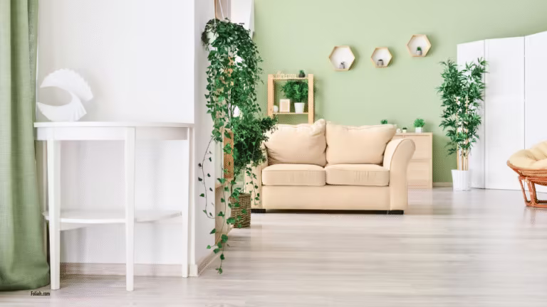 Lounge room with indoor hanging plant and tall plant in pot
