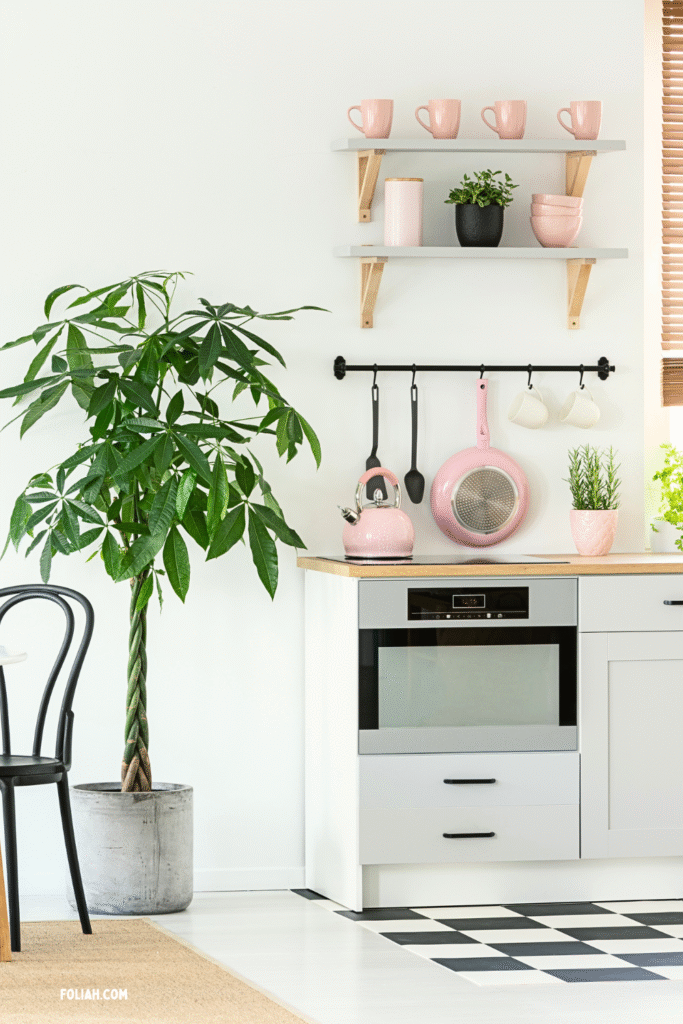 13 Gorgeous Kitchen Plant Styling Ideas You’ll Want to Copy 13 at Foliah Modern kitchen with pink kettle, pan, and mugs, open shelving, potted money tree, fresh herbs, and a black-and-white checkered floor.