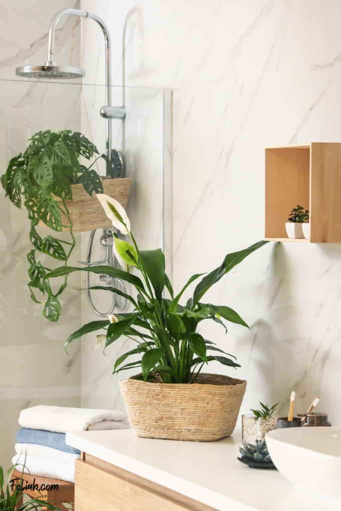 Peace Lily and other humidity-loving bathroom plants arranged near a shower and sink in a stylish white bathroom with natural textures and soft light.