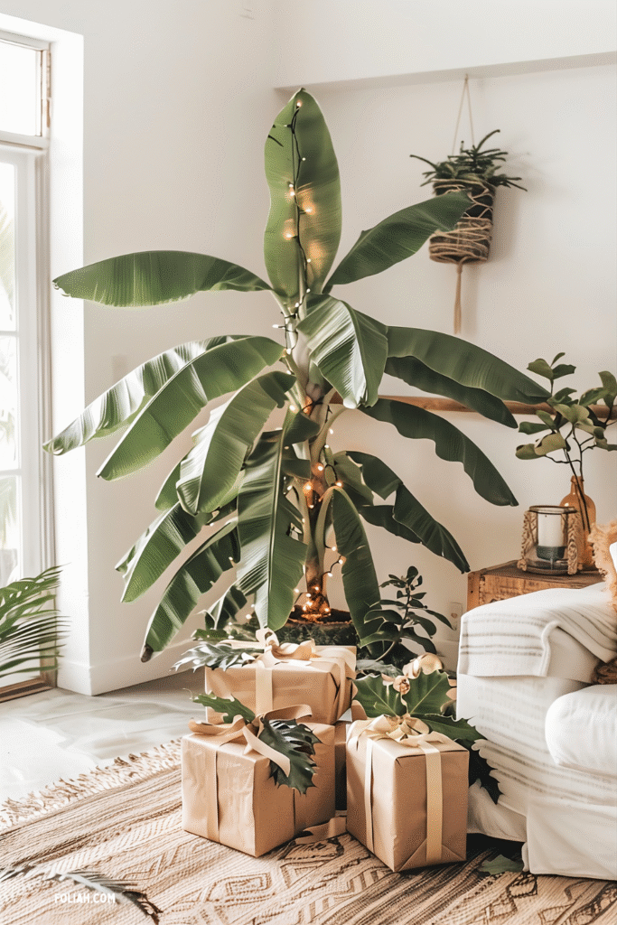 Banana plant styled as a Christmas tree with string lights on its trunk, surrounded by wrapped gifts in kraft paper with ribbon in a cozy living room.