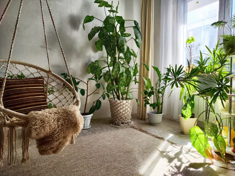 A corner in a cozy room with lots of house plants and a chair