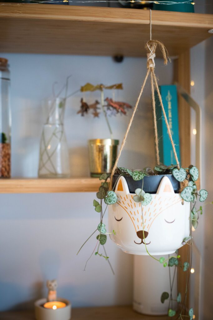 Animal face hanging vase placed indoor with Ceropegia Woodii plant or String of Hearts. Wooden shelves in the background.