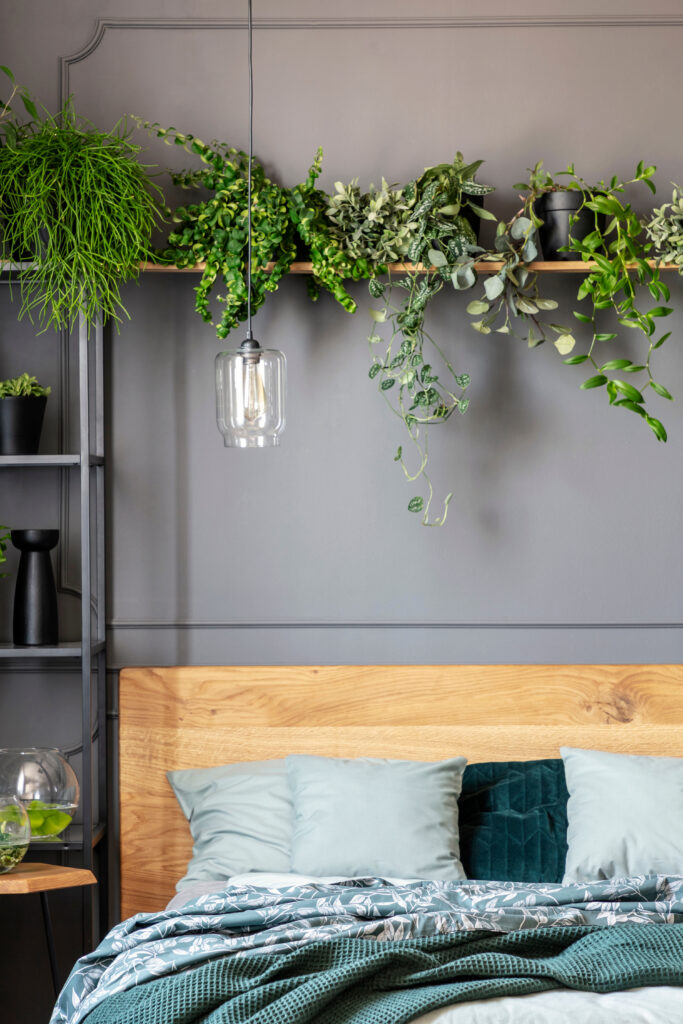 Bedroom with wooden headboard and a shelf above the bed holding trailing and leafy houseplants cascading down the wall.