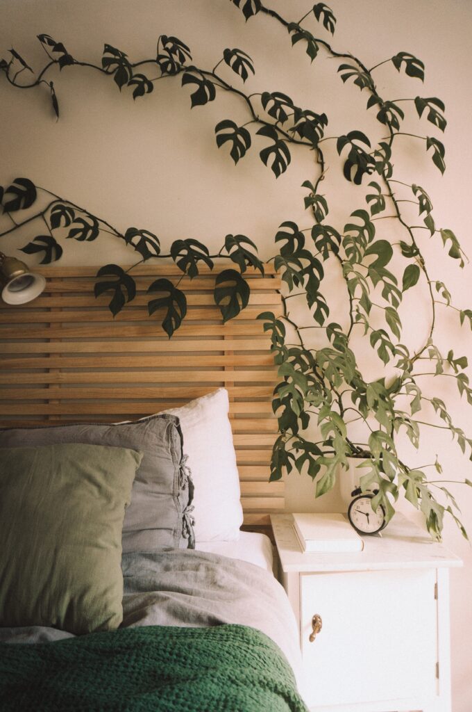 Bedroom with a climbing houseplant trailing across the wall above a wooden headboard, creating a natural, flowing look.