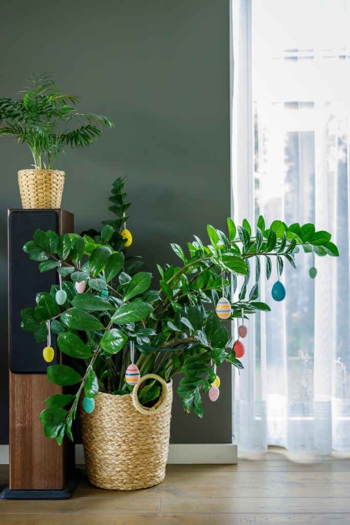 Indoor plant decorated with hanging Easter eggs for simple, bright Easter plant decor near a window.