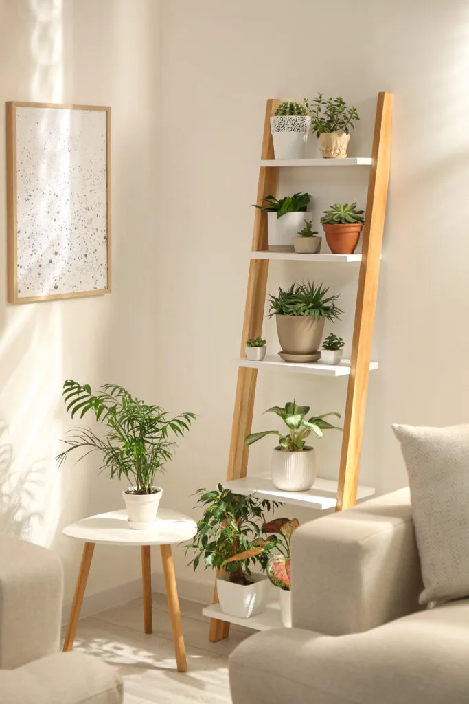 Corner with a wooden ladder shelf holding multiple small indoor plants, creating a neat vertical plant display.