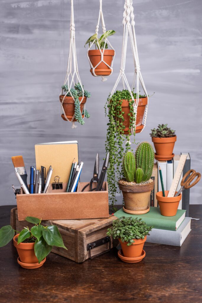 Desk with pens, pad, notebook and indoor plants, flower hanging basket macram&eacute;