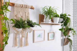Different potted houseplants hanging on wall indoors
