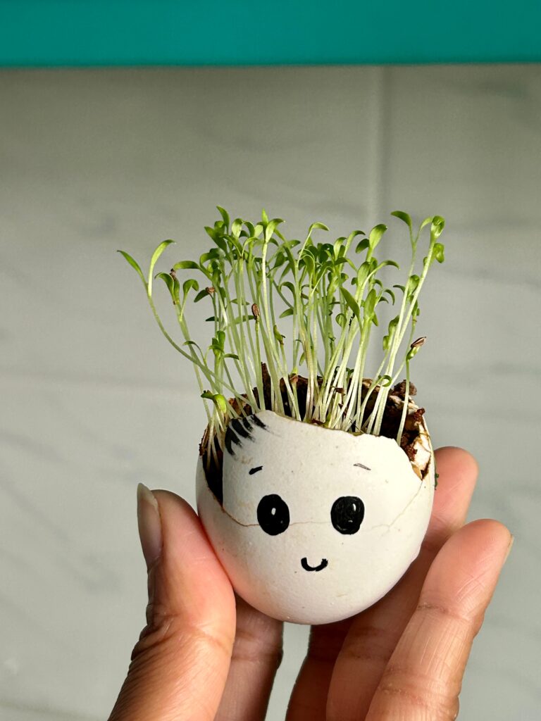Eggshell planter with small seedlings growing out of it, styled as a simple and natural Easter plant decor idea.