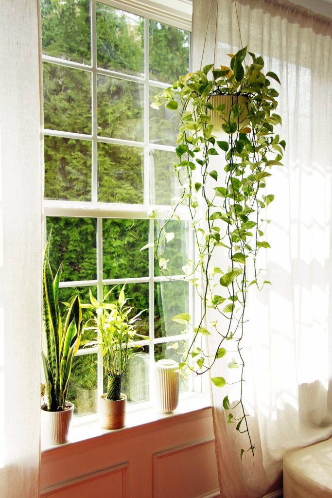 Green plants give a fresh look in the house. The hanging planter and the vases are perfect decorations too. houseplants decor