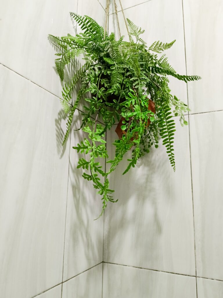 Hanging indoor plant decoration for bathroom wall. background design