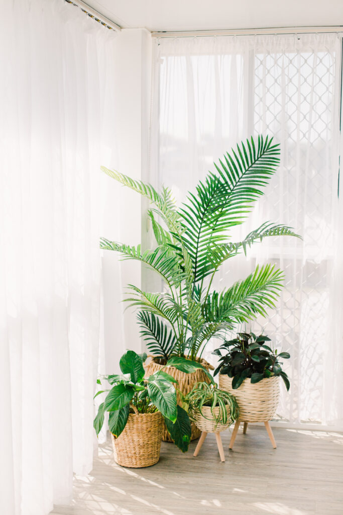 Bright corner with indoor plants grouped in matching woven baskets, including a palm and smaller leafy plants arranged near a window.