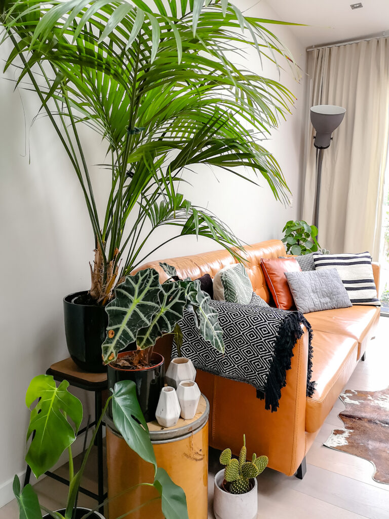 Living room corner styled with indoor plants, including a tall palm behind a couch and layered potted plants of different heights creating a compact indoor jungle effect.