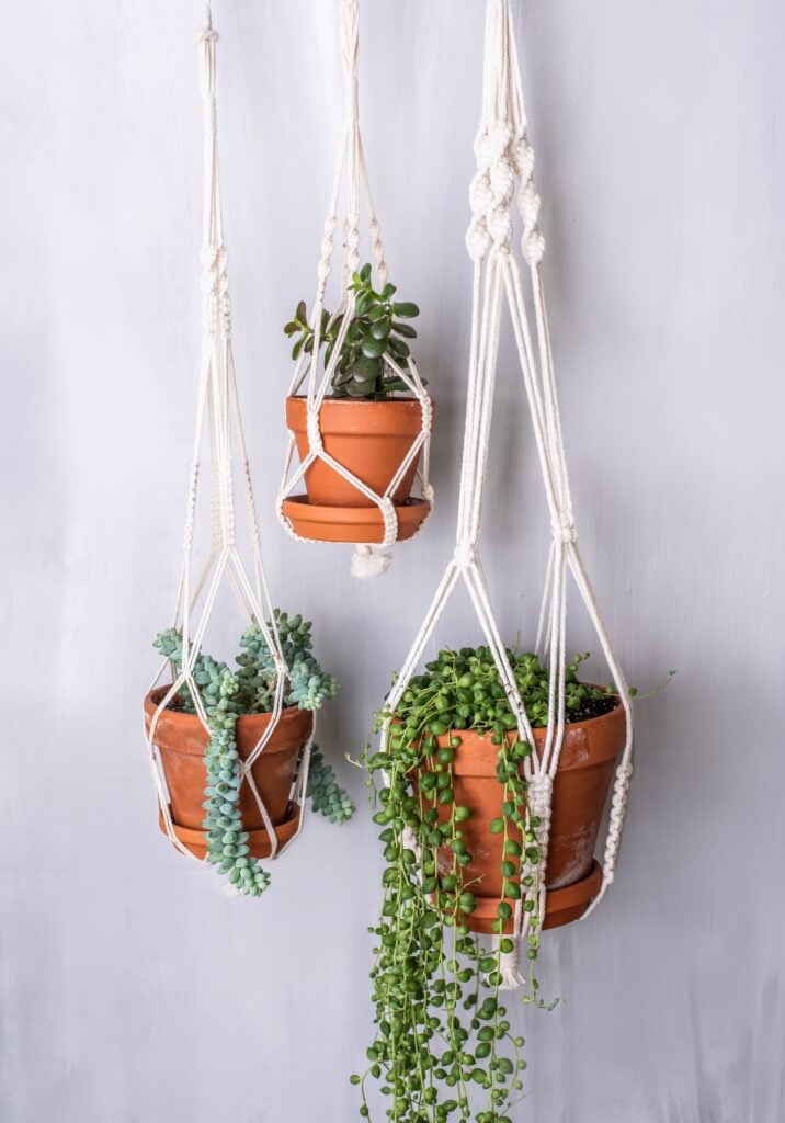15 Hanging House Plants That Instantly Make a Room Feel Lush 3 at Foliah Macramé hanging basket and various indoor plants - Urban Jungle Trend