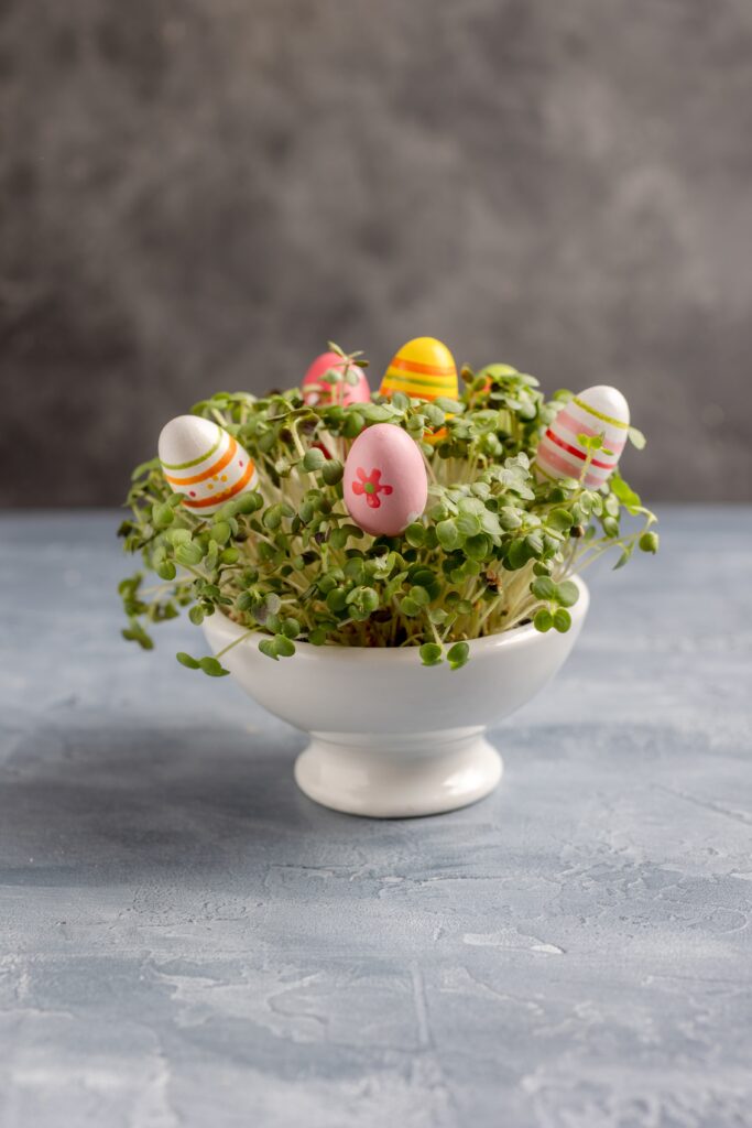 Bowl of fresh green sprouts decorated with colorful Easter eggs for a natural and edible Easter plant display.