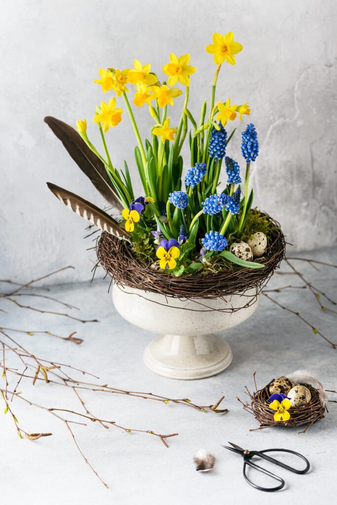 Spring bulb arrangement with daffodils and grape hyacinths styled in a natural nest for a fresh Easter plant centrepiece.