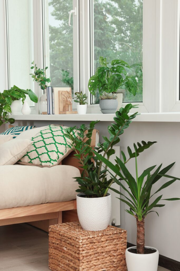 Bedroom corner with indoor plants placed near a bright window, including a floor plant and smaller plants on the windowsill.