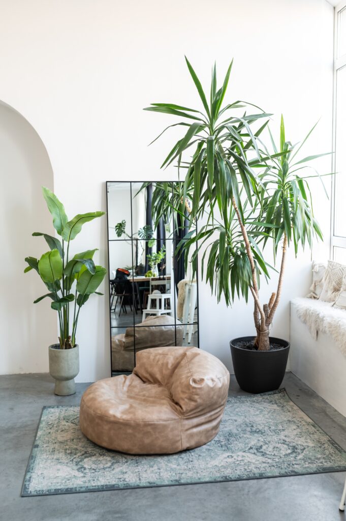 Minimalist room corner with two large indoor plants placed beside a mirror, creating a clean and spacious plant-focused setup.
