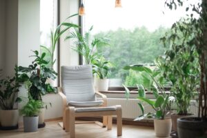 Jungle apartment decor with indoor plants