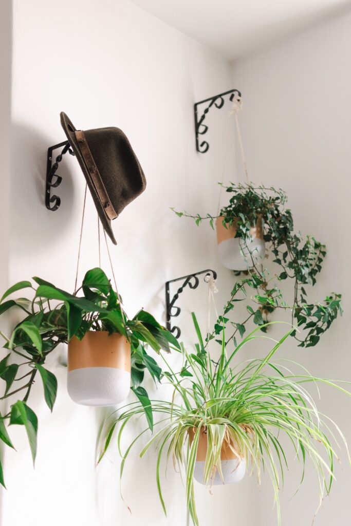 Corner with wall-mounted hooks holding hanging planters with trailing houseplants, creating a layered vertical plant display.