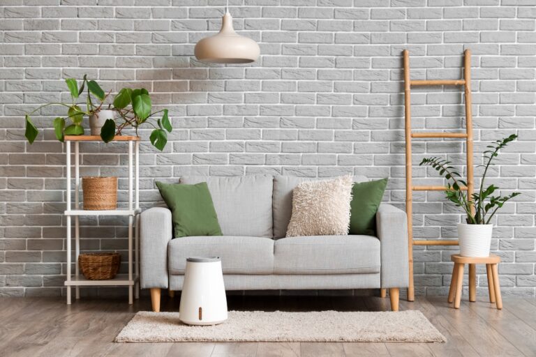 Interior of modern living room with sofa, plants and air humidifier