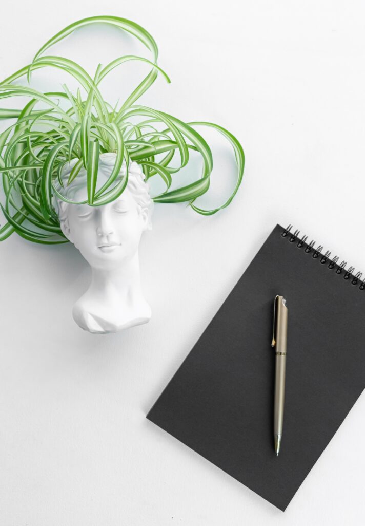 Minimalistic composition featuring a green spider plant in a white artistic pot, paired with a black notebook and pen on a clean white surface.
