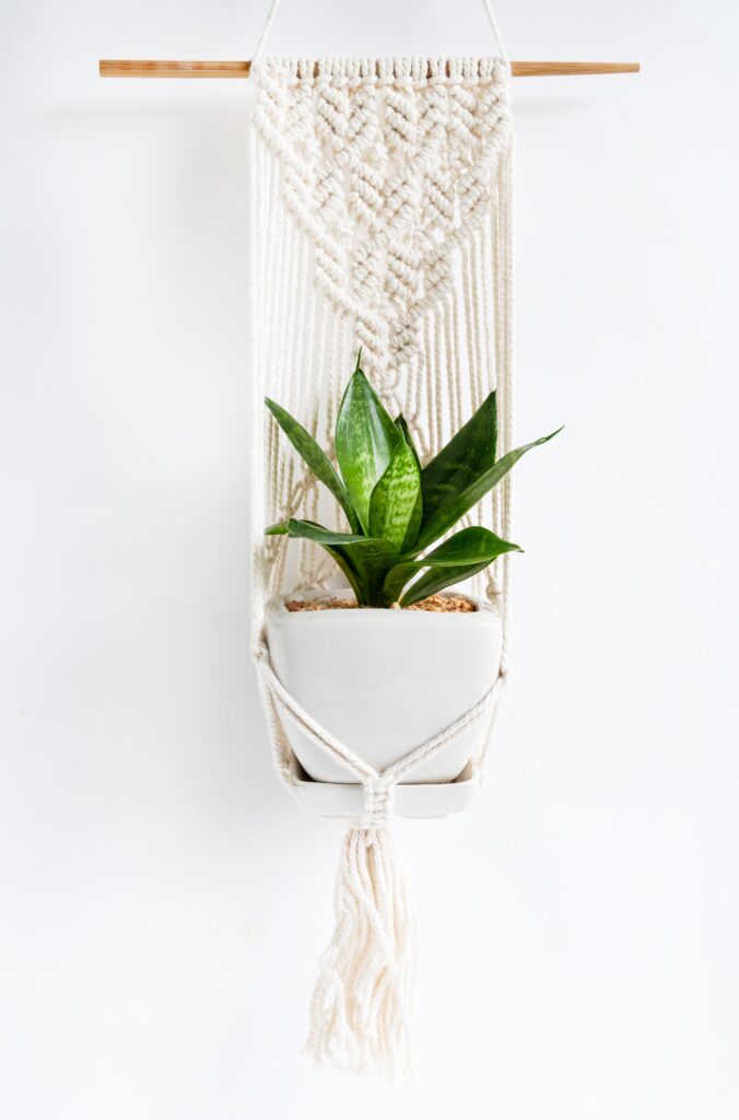Snake plant in pot with cotton macrame plant holder over white background