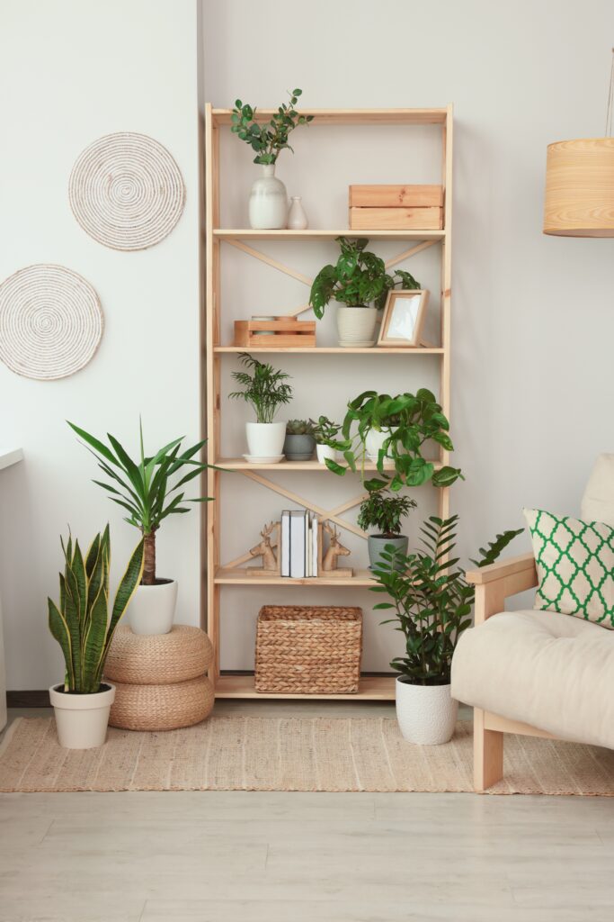 Stylish room interior with beautiful house plants. Home design idea