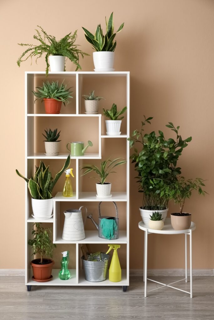 Table and shelving unit with different houseplants near beige wall