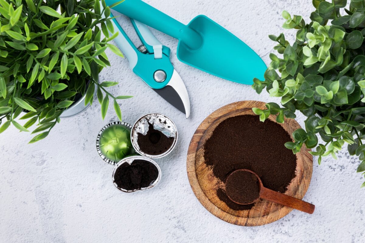 Zero Waste - the potted plants and gardening trowel wooden bowl, spoon and Coffee capsules and coffee grounds kkeokki between scissors