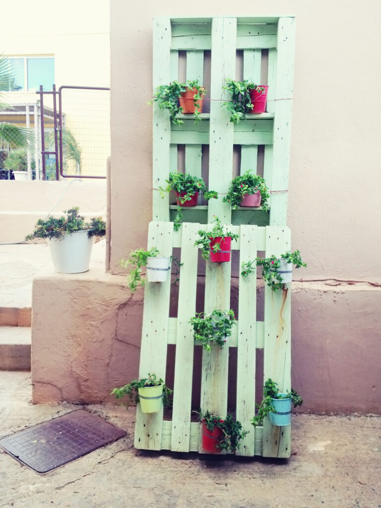 storage wooden pallet used in gardening for a wall decoration as a shelf for flower pots 